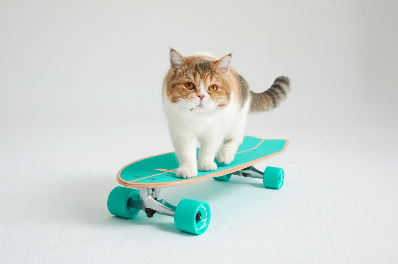 Street Wave Surfskate Skateboard