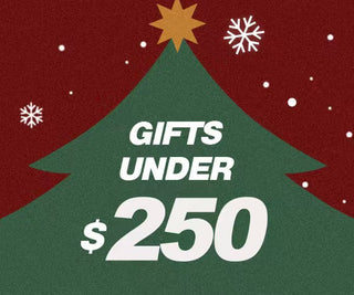 Gifts Under $250