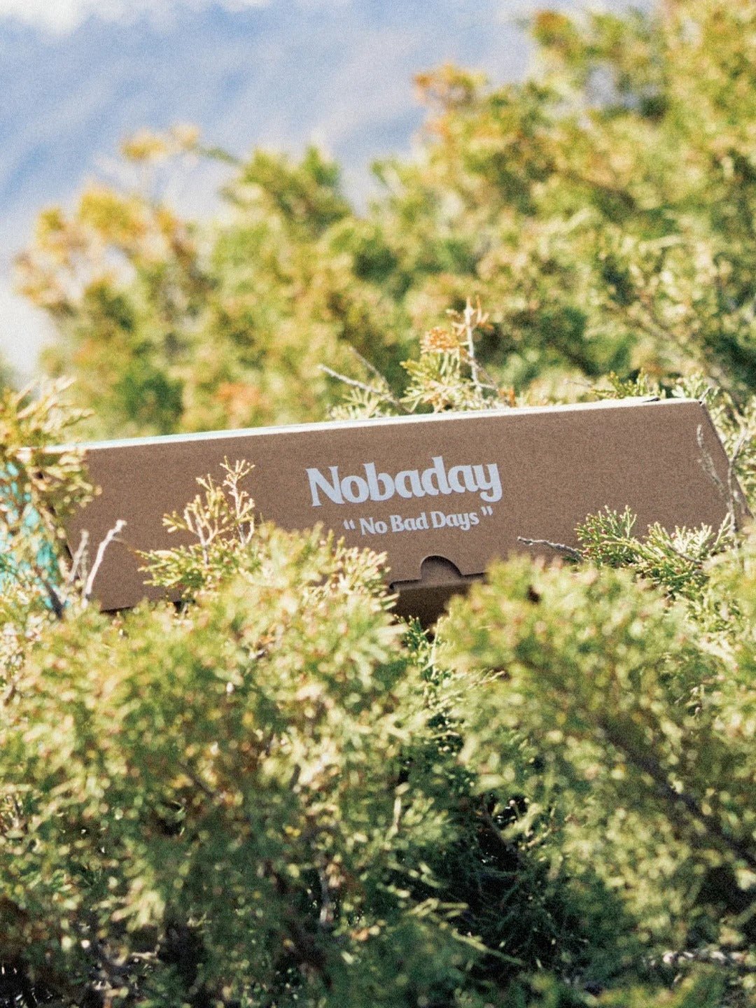 NOBADAY T - BOX FISHING LURE SUMMER OUTDOOR T - SHIRT - NOBADAY